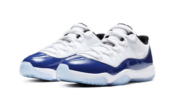 LOW CONCORD SKETCH - immagine 2